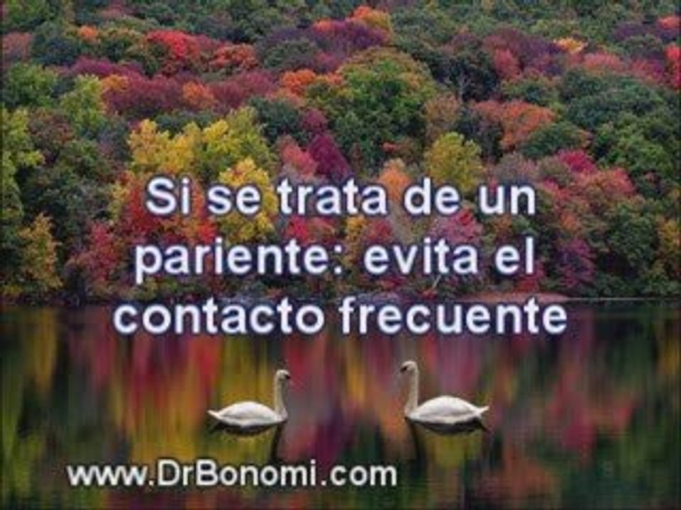 Video 34 EL SECRETO en youtube, pelicula, video, dvd, tv