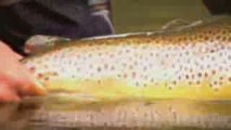 Amazing fly fishing film trailer Once ina Blue Moon