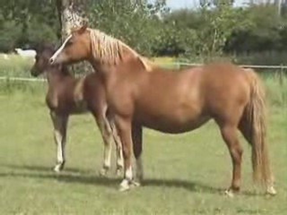 Mai2009