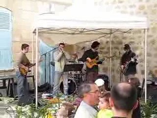 Greedys Dogs - Slide On It Pt 1 (Live at Eragny-2009)