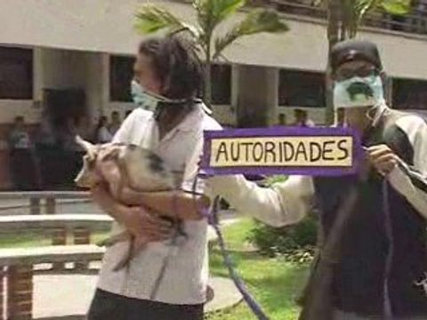 Corrupción Porcina en las Universidades Autónomas