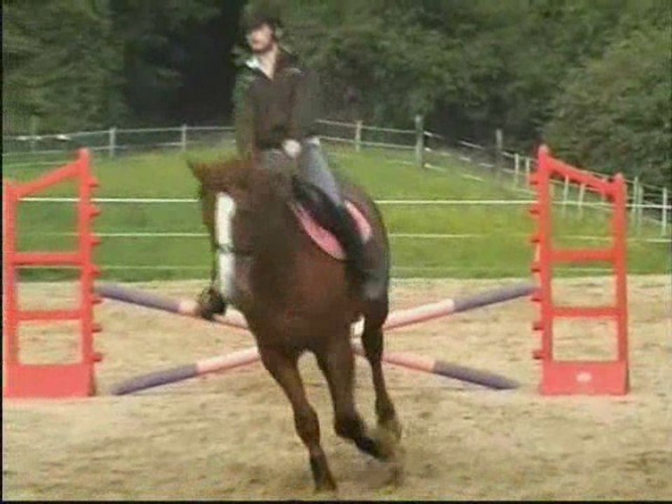 Concours 21 mai 2009