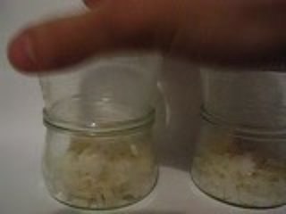 LLP - Expérience du RIZ 2