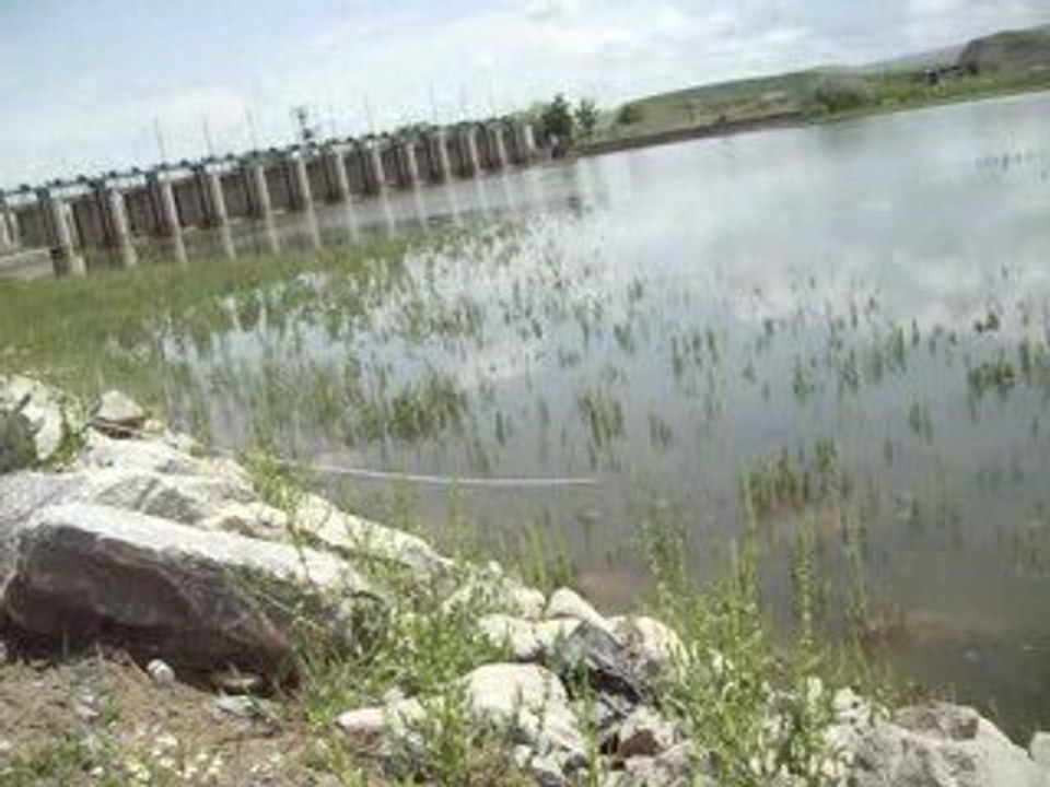 SAZAN