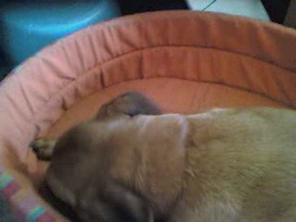 Talya est son jouez