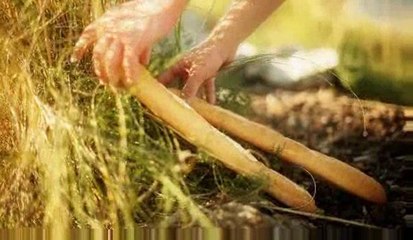 Senderismo de Jim-Box