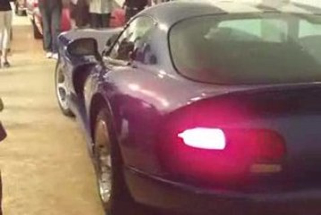 Viper LeMans