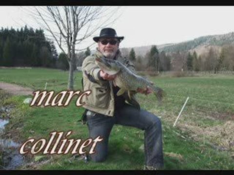 brochet carpes vosges