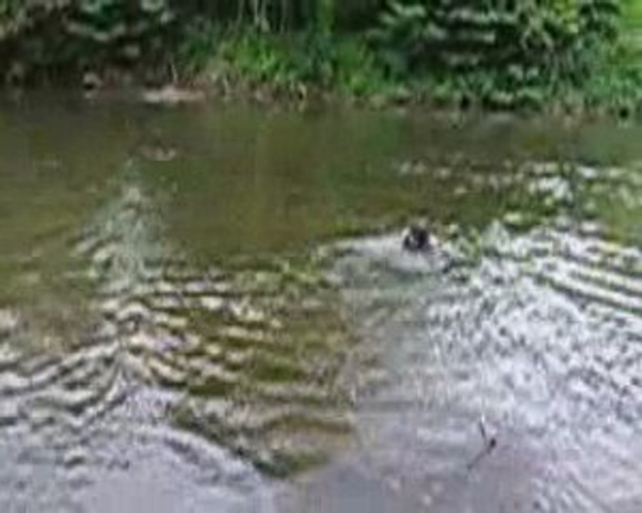 DIXIE ET LA RIVIERE