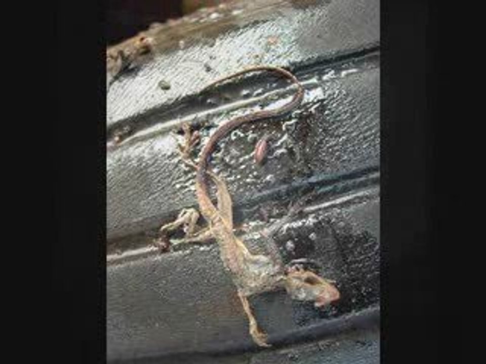 Death in June - The Bunker