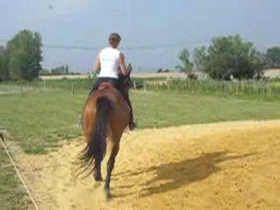 La marquise en cour de gym ...