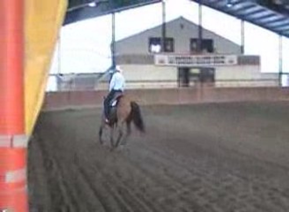 VANILLA VTS_01_6 CONCOURS