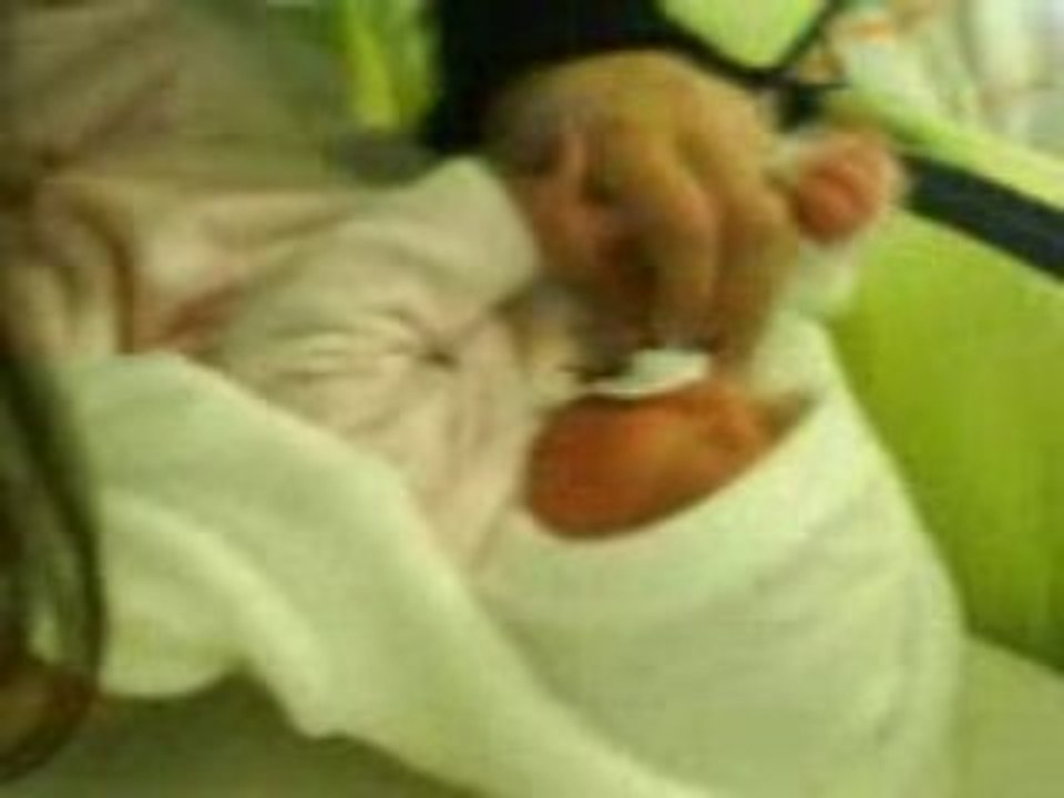 loane