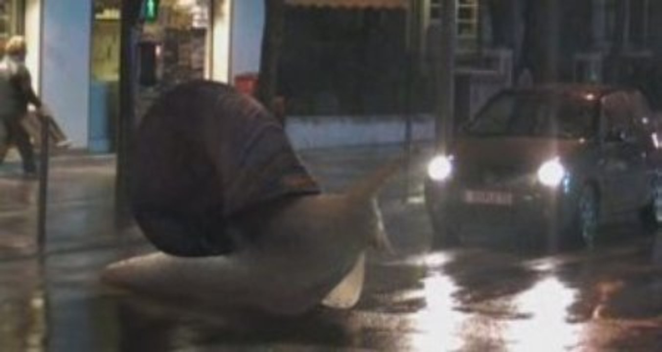 Snail