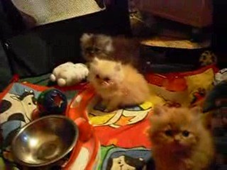 Chat_26_05_09