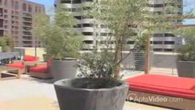 ForRent.com Wilshire Margot Apartments in Los Angeles, CA