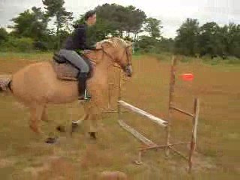 Pilou saut + stop
