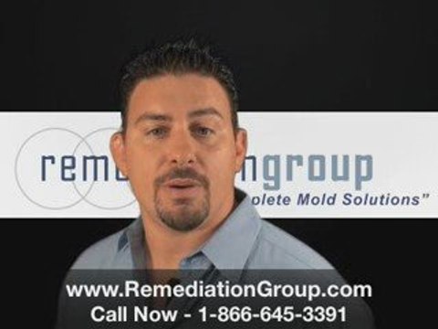 Atlanta mold remediation Atlanta Mold Removal Atlanta Ga