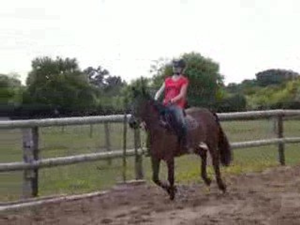 Idylle & moi : cso