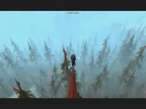 Chaman amélio 80 n2