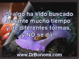 Video 21 EL SECRETO en youtube, pelicula, video, dvd, tv