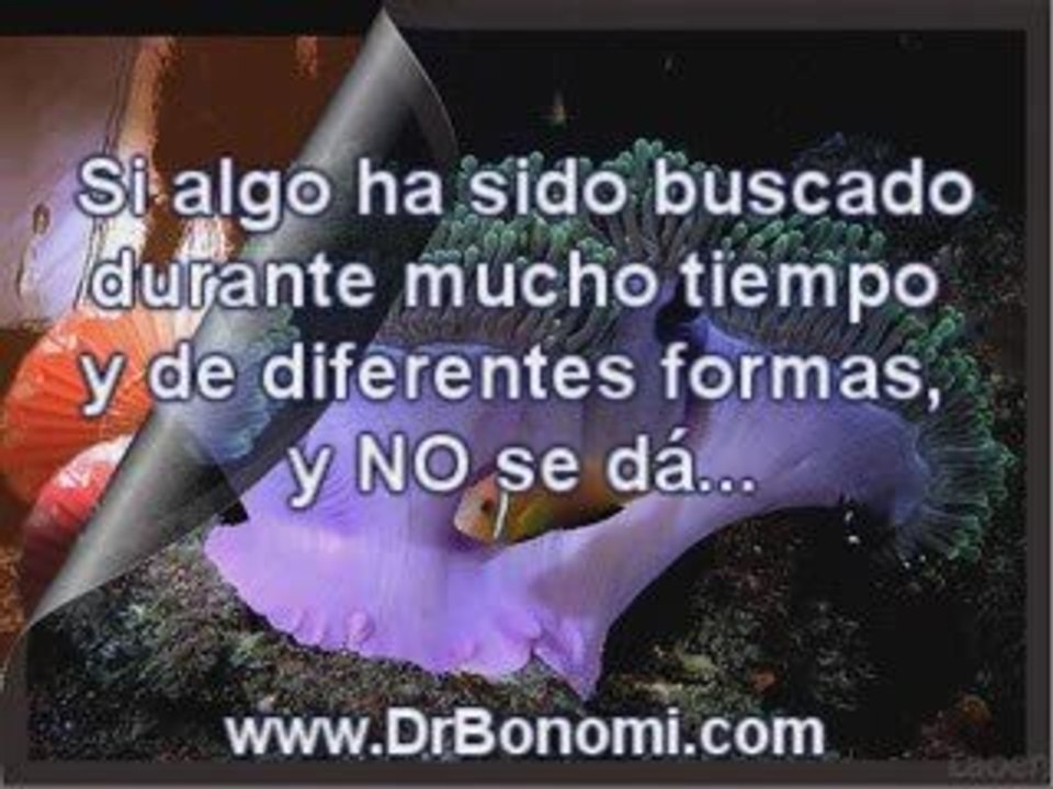 Video 21 EL SECRETO en youtube, pelicula, video, dvd, tv