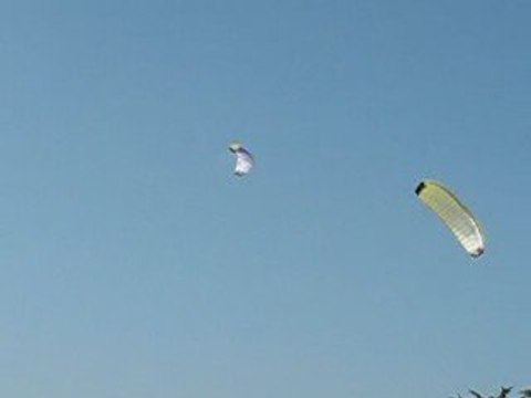 La Bernerie en Retz : zoom cerf-volant