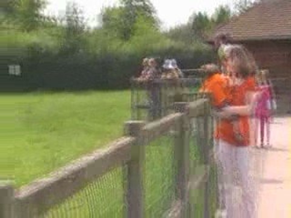 La vache est une chèvre comme les autres