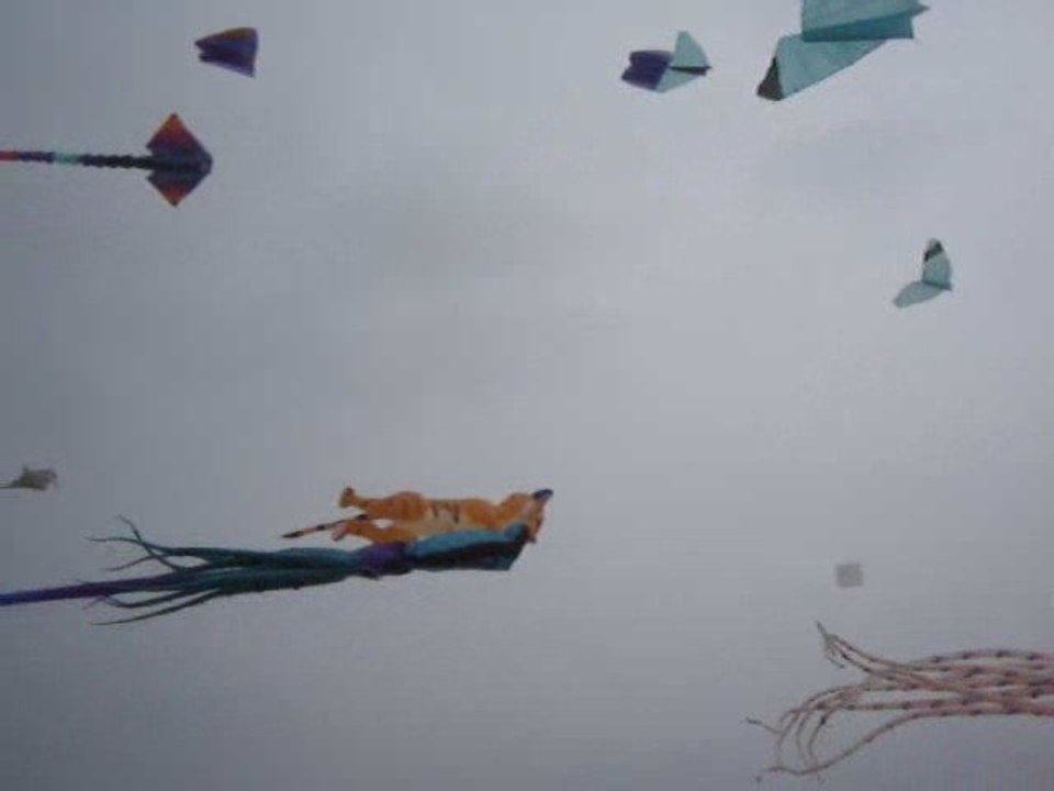 Berck 19.04.2009