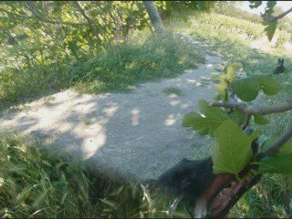 Sortie du 26 05 2009 sam & alter