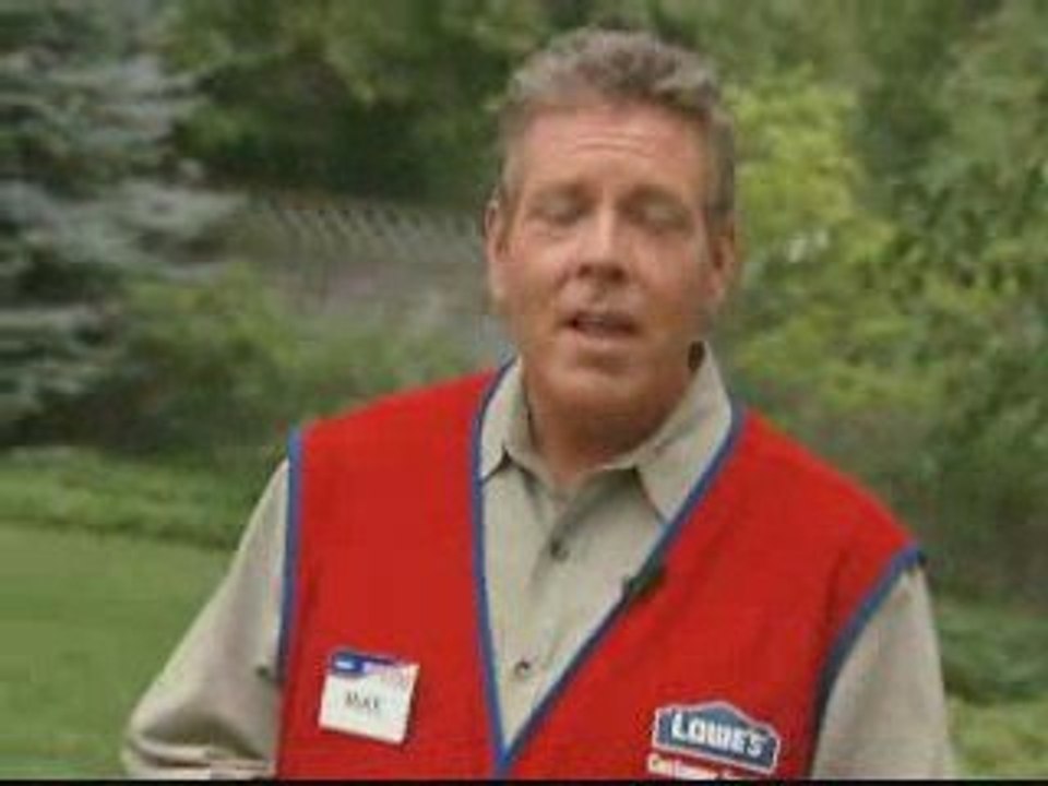 Lawn & Grass Care Tips: Maintenance, Raking & Dethatching