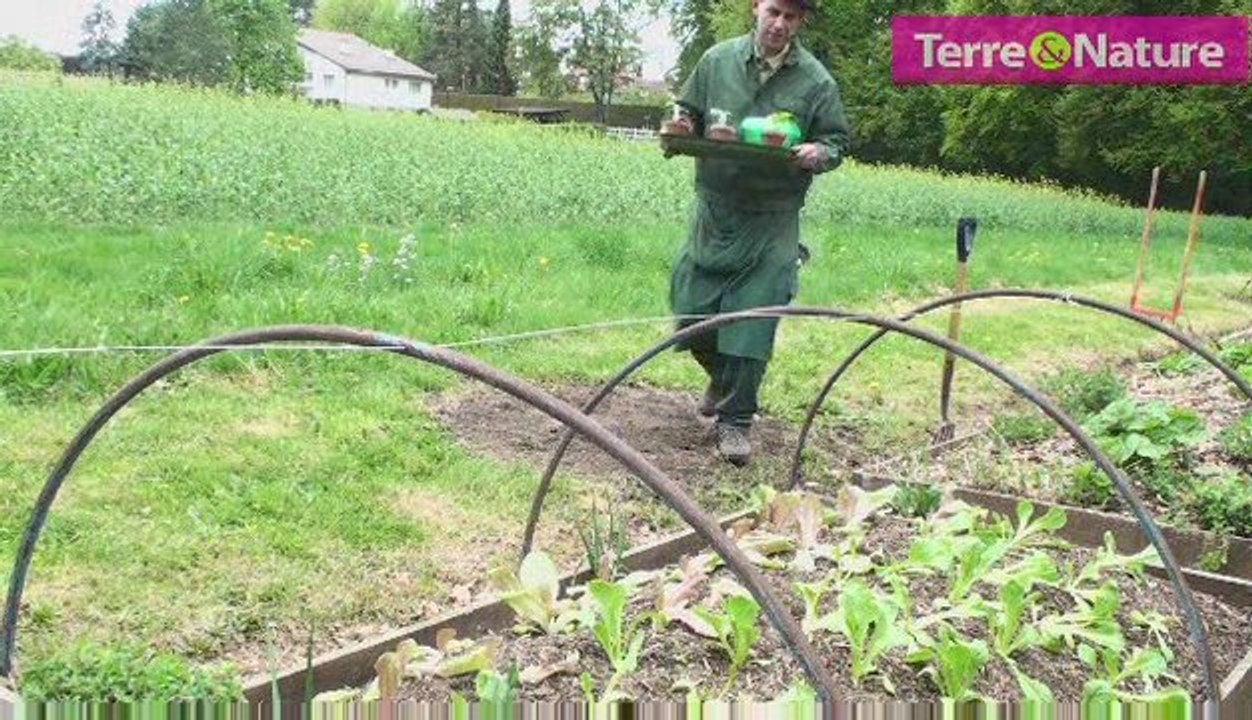 Semez vos cornichon avec Terre&Nature