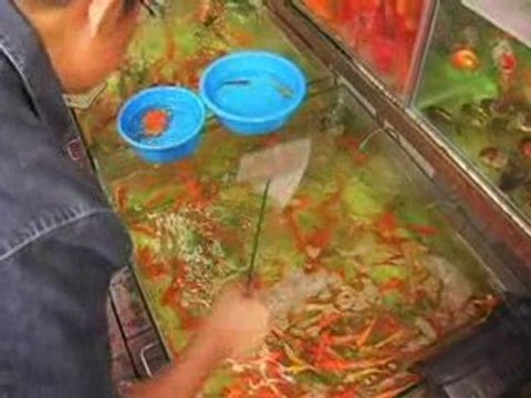 HOTEL INTER-CONTINENTAL HONG Concierge Video