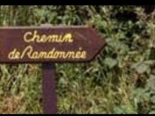 Aux Petites Cours en images