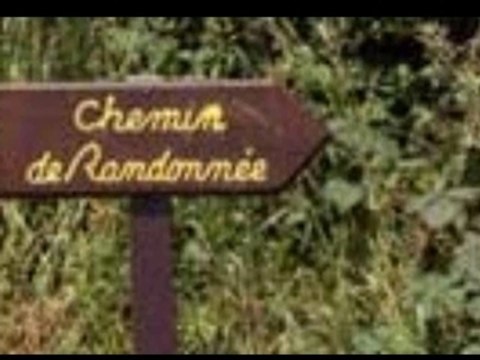 Aux Petites Cours en images