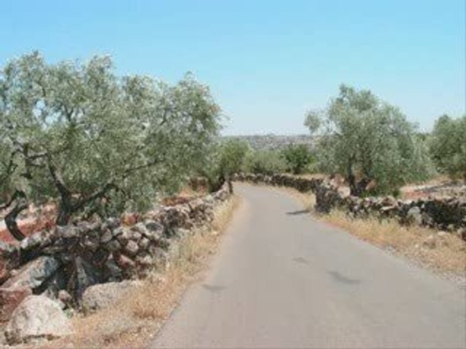 WAFEEK HABIB LEYKE  وفيق حبيب ليكي