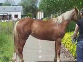 Mai20 2009 balade bois abbaye