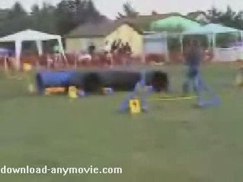 Agility Tunnel