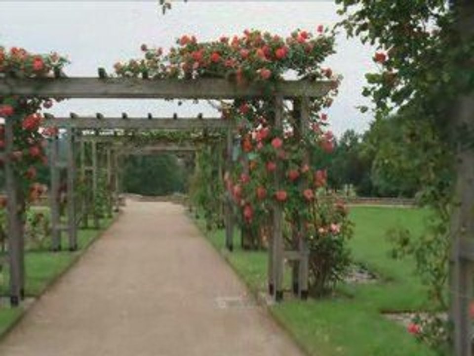 Du jardin d'essai d'Alger à la Roseraie de Limoges