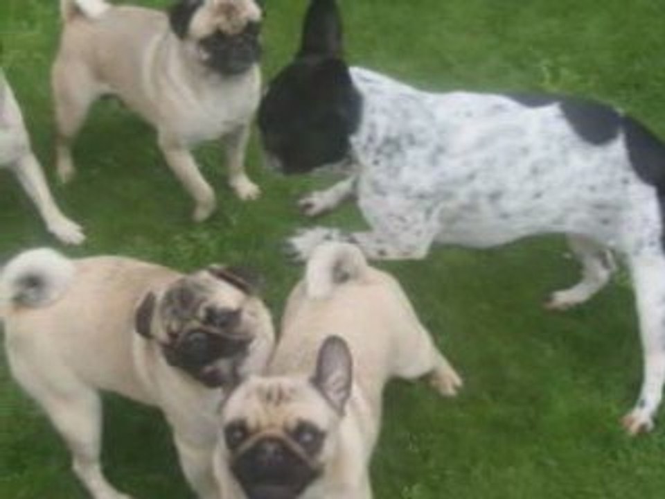 Mercredi 27 mai 2009