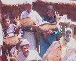 Les projets chèvres d'élevages sans frontières au Maroc