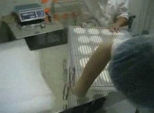 Elevages sans frontières en Roumanie : fromagerie de Topolog