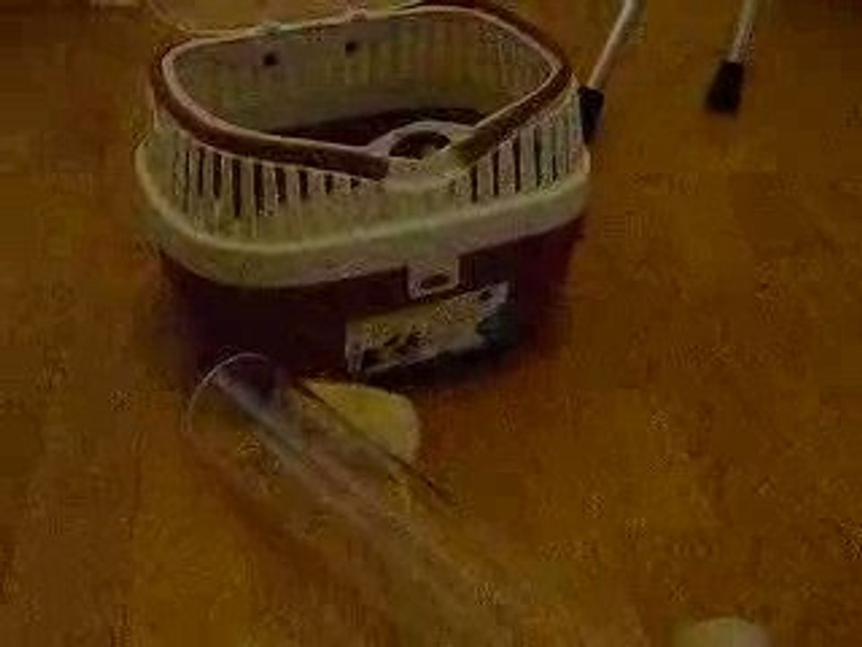 Gaïus et la caisse de transport...