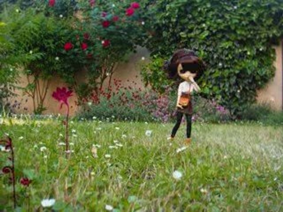 Ballade d'une pullip