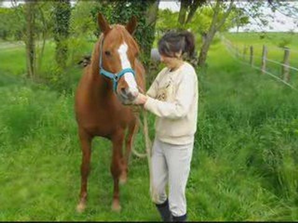 Le cheval de ma vie