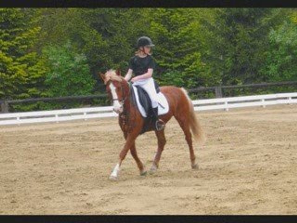 Video concour mourmelon!