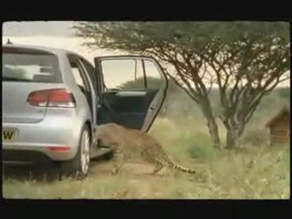 VW Golf 6 - Cheetah