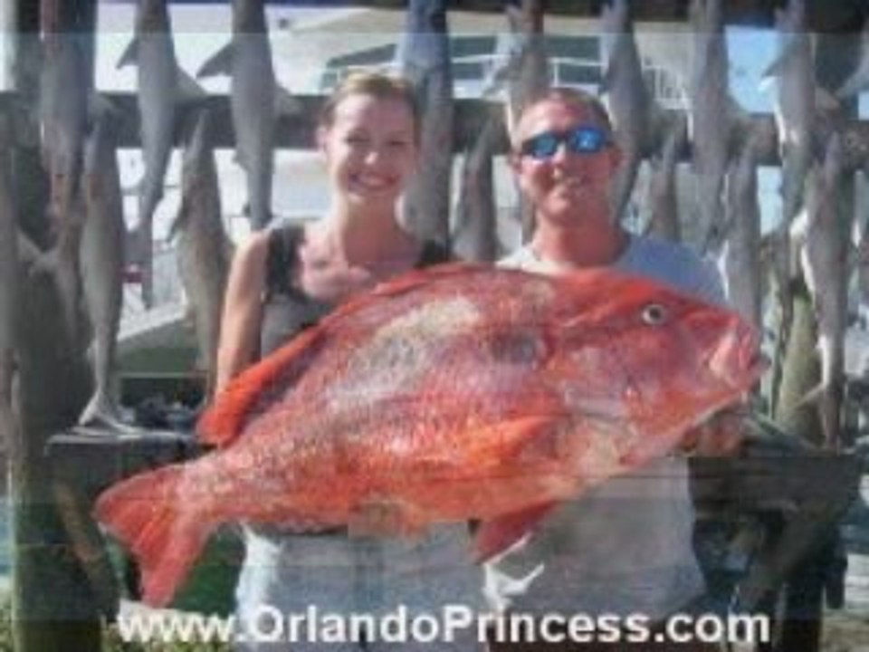 Deep Sea Fishing Port Canaveral