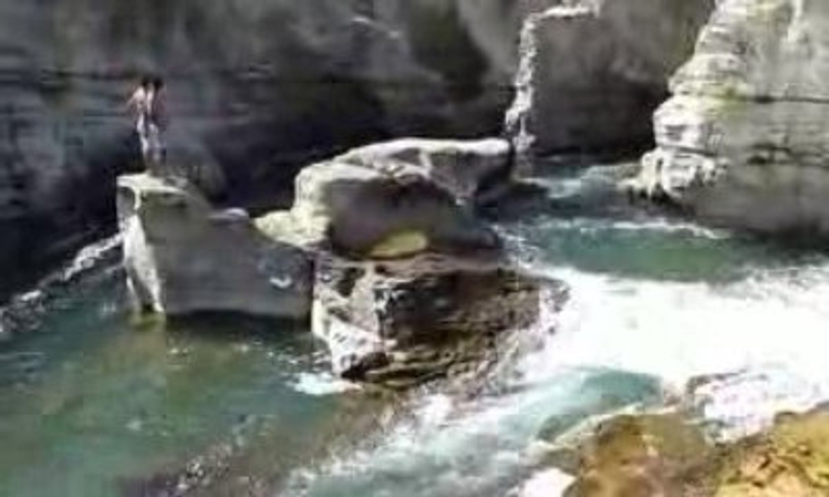 plongeon