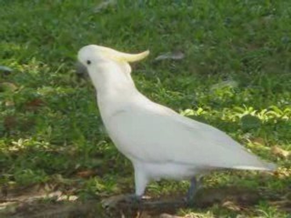 Photorécit1 australie